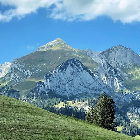 Apartamento Rietidylle Mit Atemberaubendem Blick Auf Churfirsten *