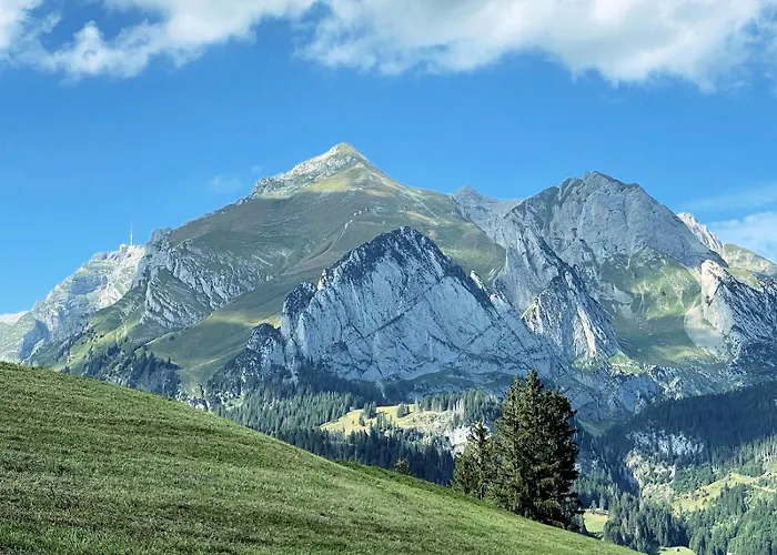 Apartament Rietidylle Mit Atemberaubendem Blick Auf Churfirsten *
