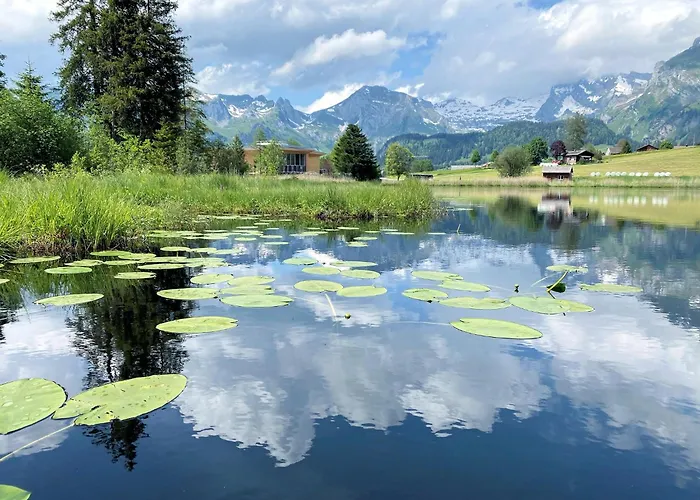 Rietidylle Mit Atemberaubendem Blick Auf Churfirsten