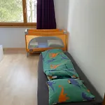 Rietidylle Mit Atemberaubendem Blick Auf Churfirsten Daire Wildhaus
