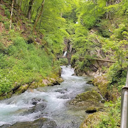Rietidylle Mit Atemberaubendem Blick Auf Churfirsten Appartement Wildhaus